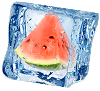 Watermelon illustration